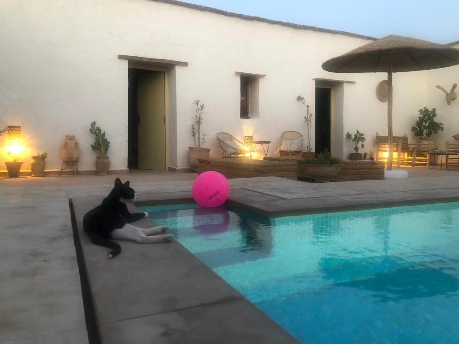 Casa Nel Sahara Hotel Merzane Bagian luar foto